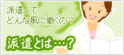 ɸȤϡġ